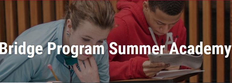 Bridge Program Summer Academy