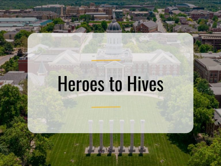 Heroes to Hives