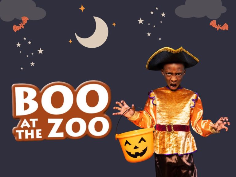 Boo At the Zoo