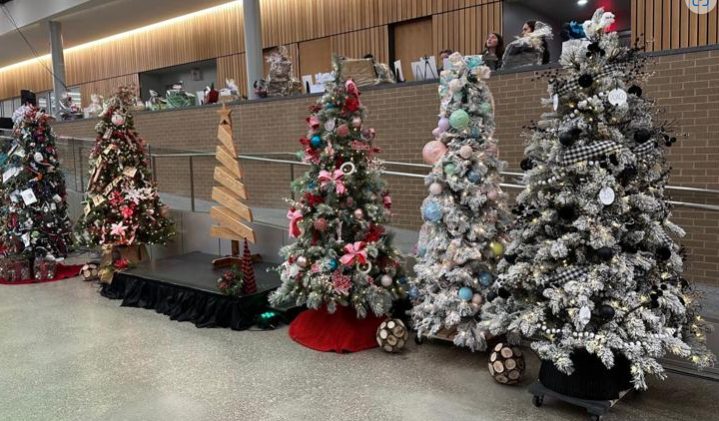 Festival of Trees nets $200,000 for CASA