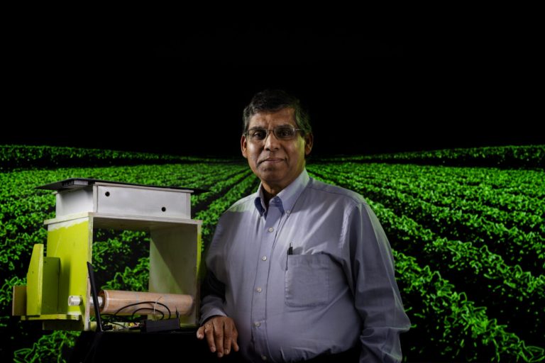 S&T researchers developing AI system to prevent pests, improve crop yield for rural farms