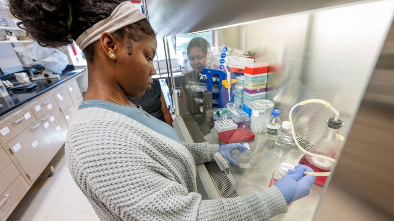 CLIMB concludes 11th summer helping area high school students gain hands-on scientific lab experience