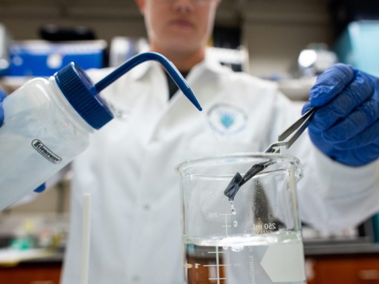 Person working in the lab with critical materials