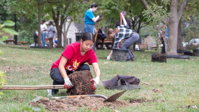 Eye on UMSL: Tree time